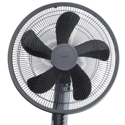 41